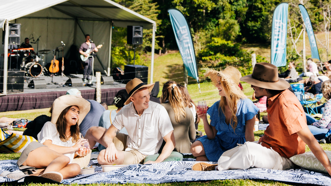 4 people sitting/laying on a picnic blanket in the forefront; behind them a stage to the left hand side with a musician playing a guitar standing centre stage, and to the right of the stage there are festival banners and a landscape of trees, grass and greenery.