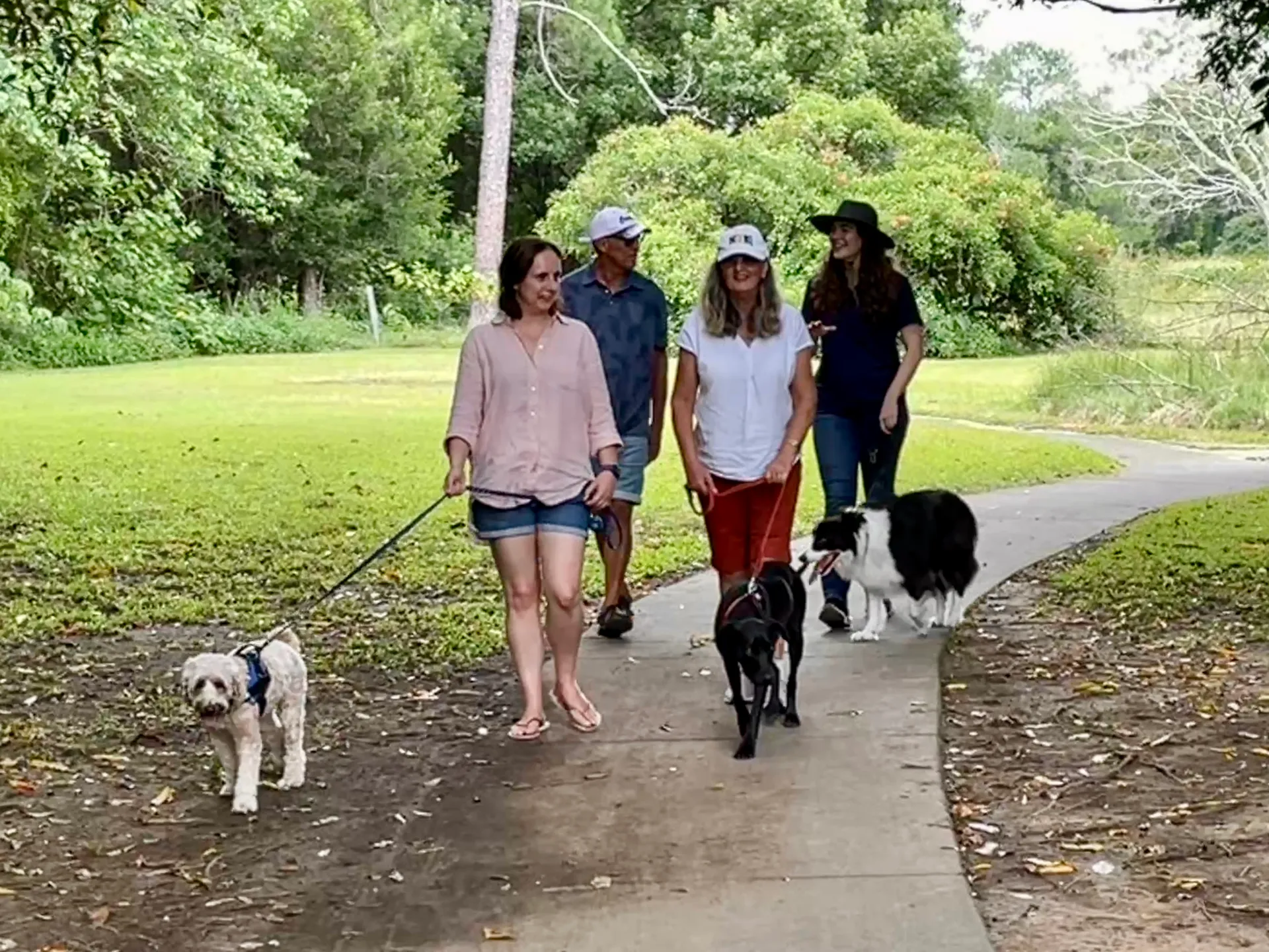 Small group of people walking dogs at Palmwoods park