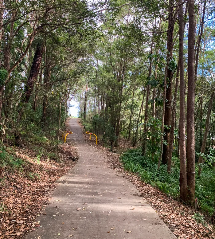 Woombye to Palmwoods trail