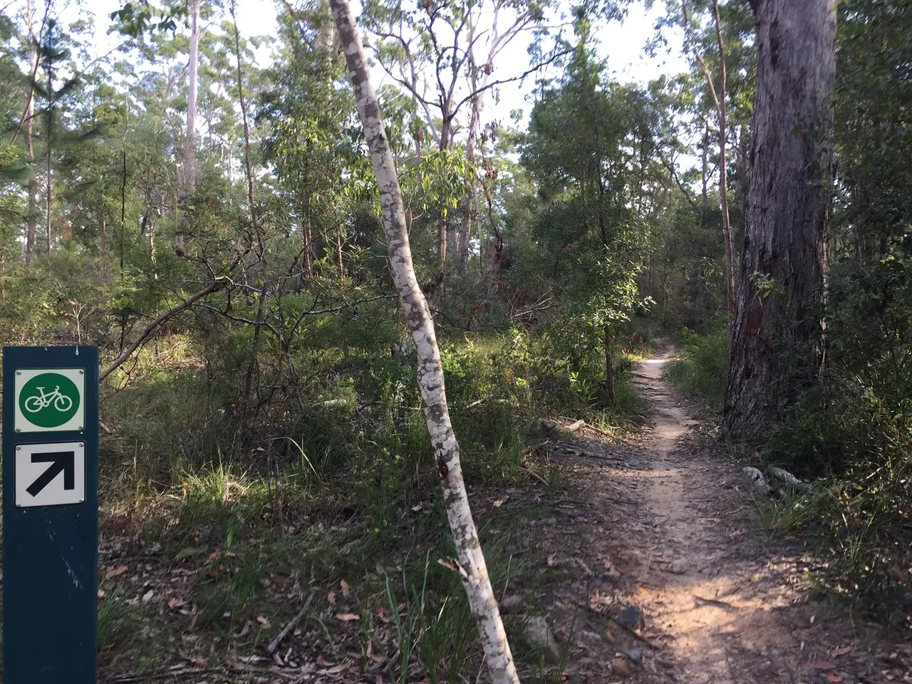 39231_Ewen%20Maddock%20Dam%20Ferny%20Forest%20Mountian%20Bike%20Loop%20%20IMG_2901.jpg