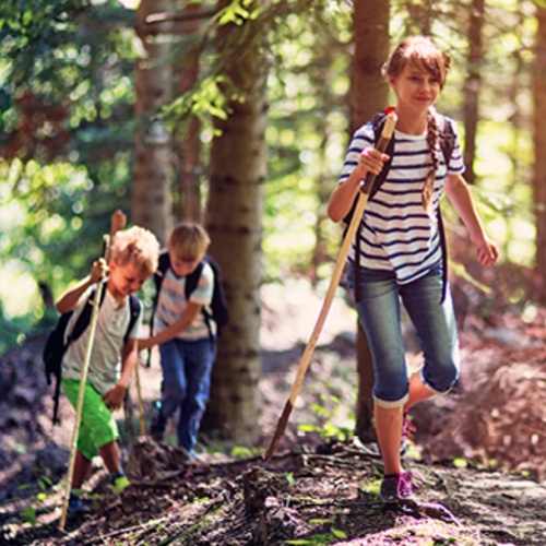 kids in the forest