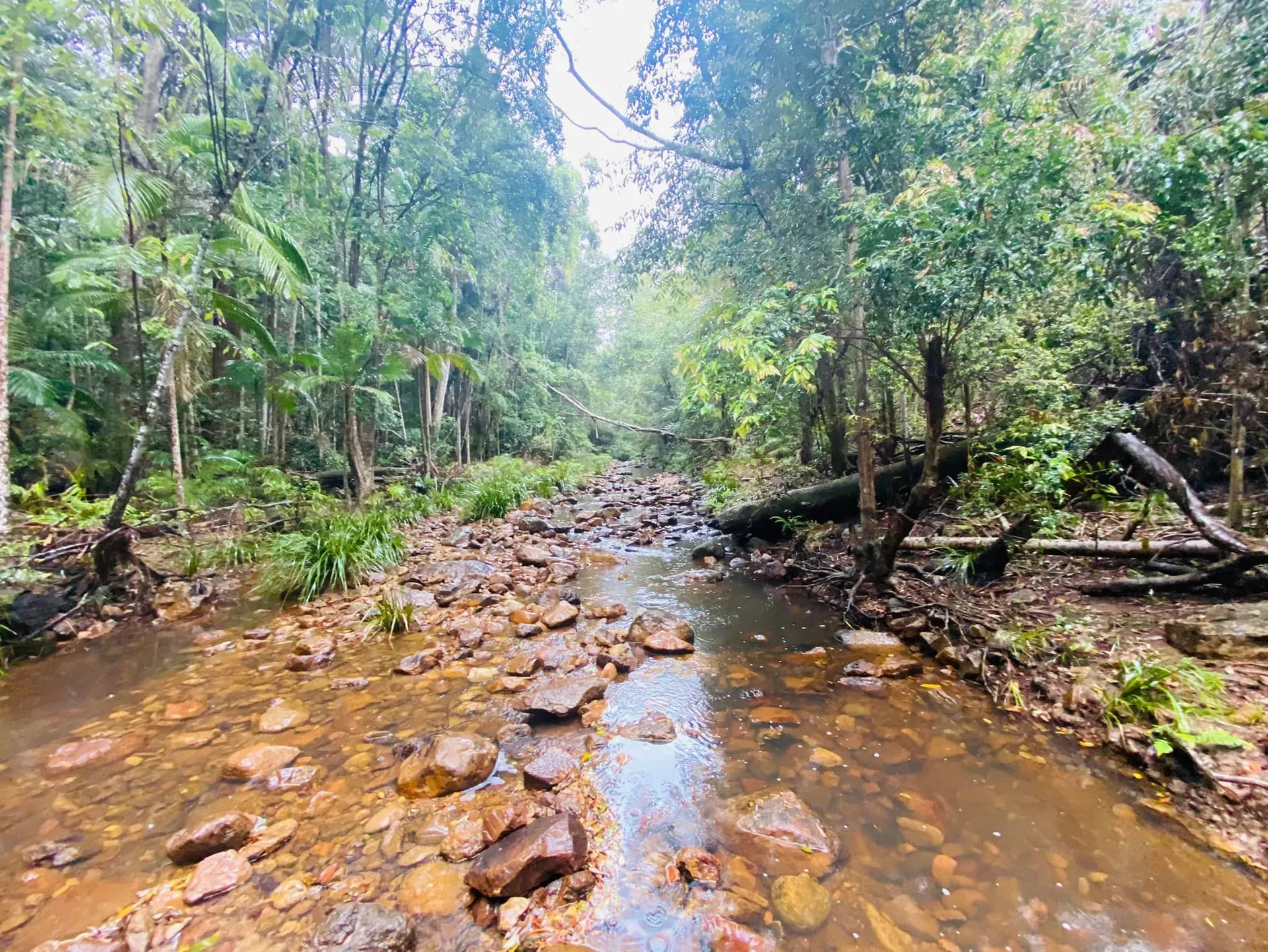 Mapleton National Park – Gheerulla Full Loop Hike