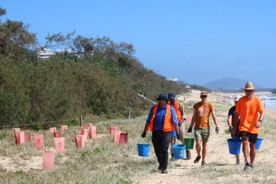 Tree planting