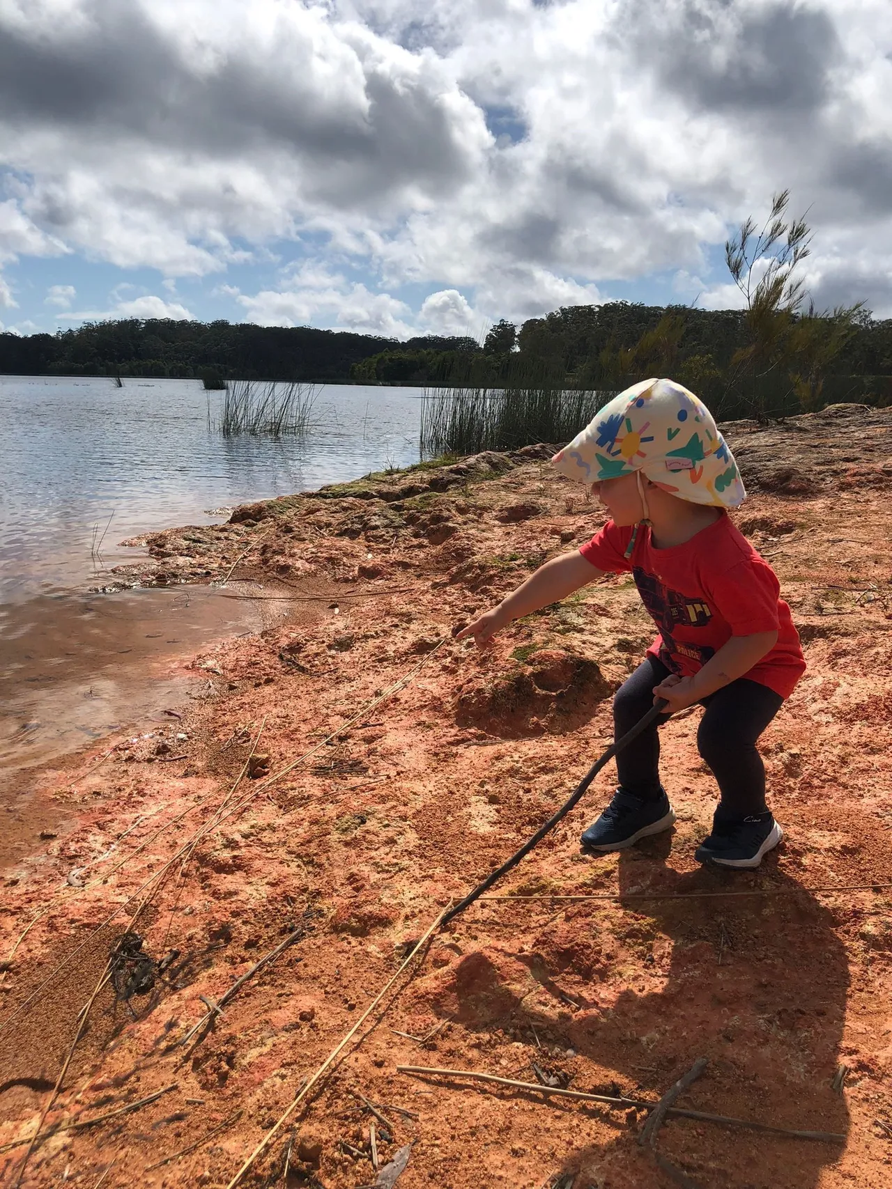 Cooloolabin Dam – Day-use short walk