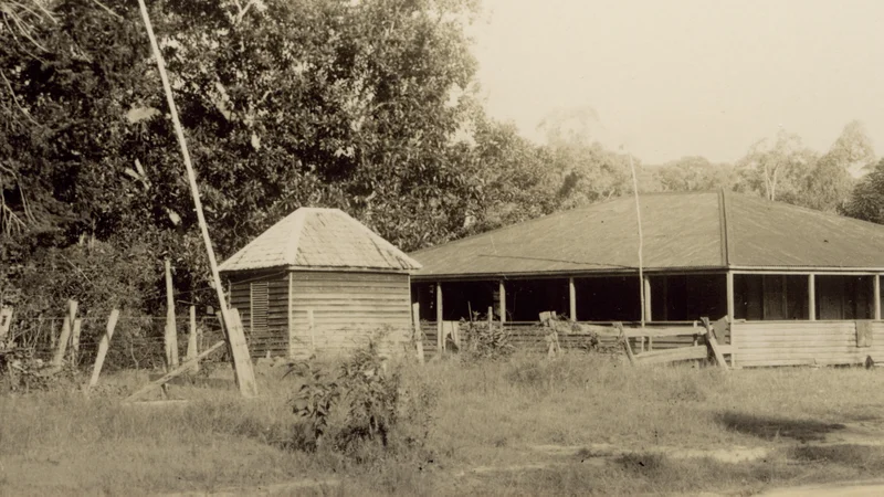 Bankfoot House Dairy Timber Roof Reconstruction