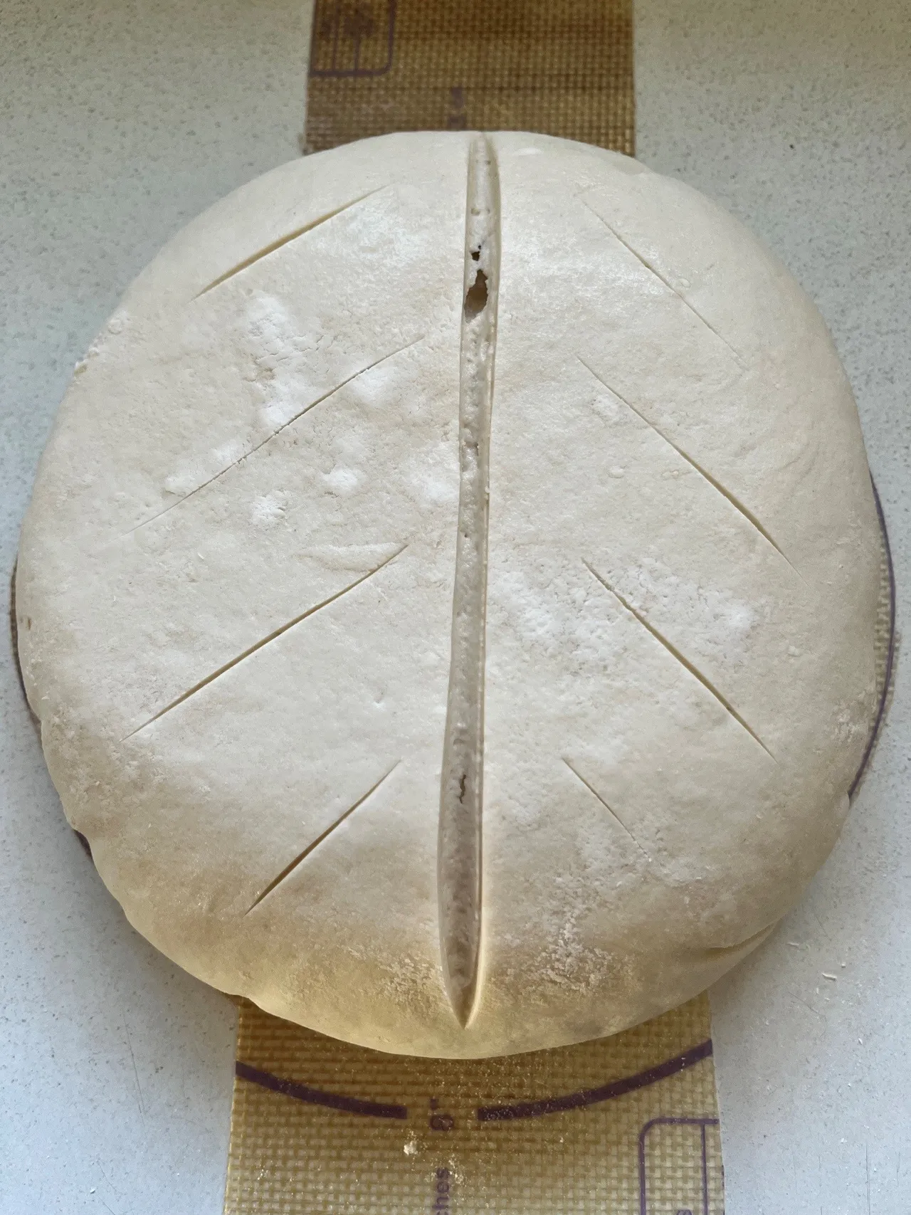 shaped dough with slit in the top