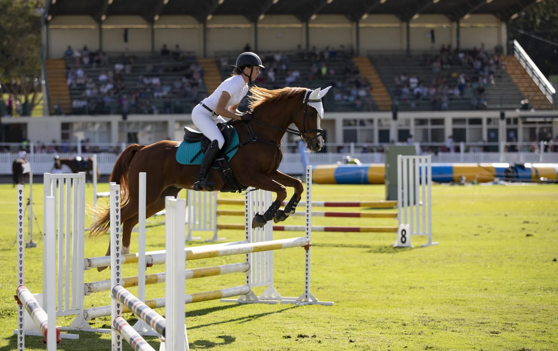 Sunshine-Coast-Agricultural-Show_show-jumping-scaled.jpg