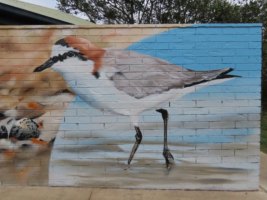 North Shore Mural Red-capped Plover