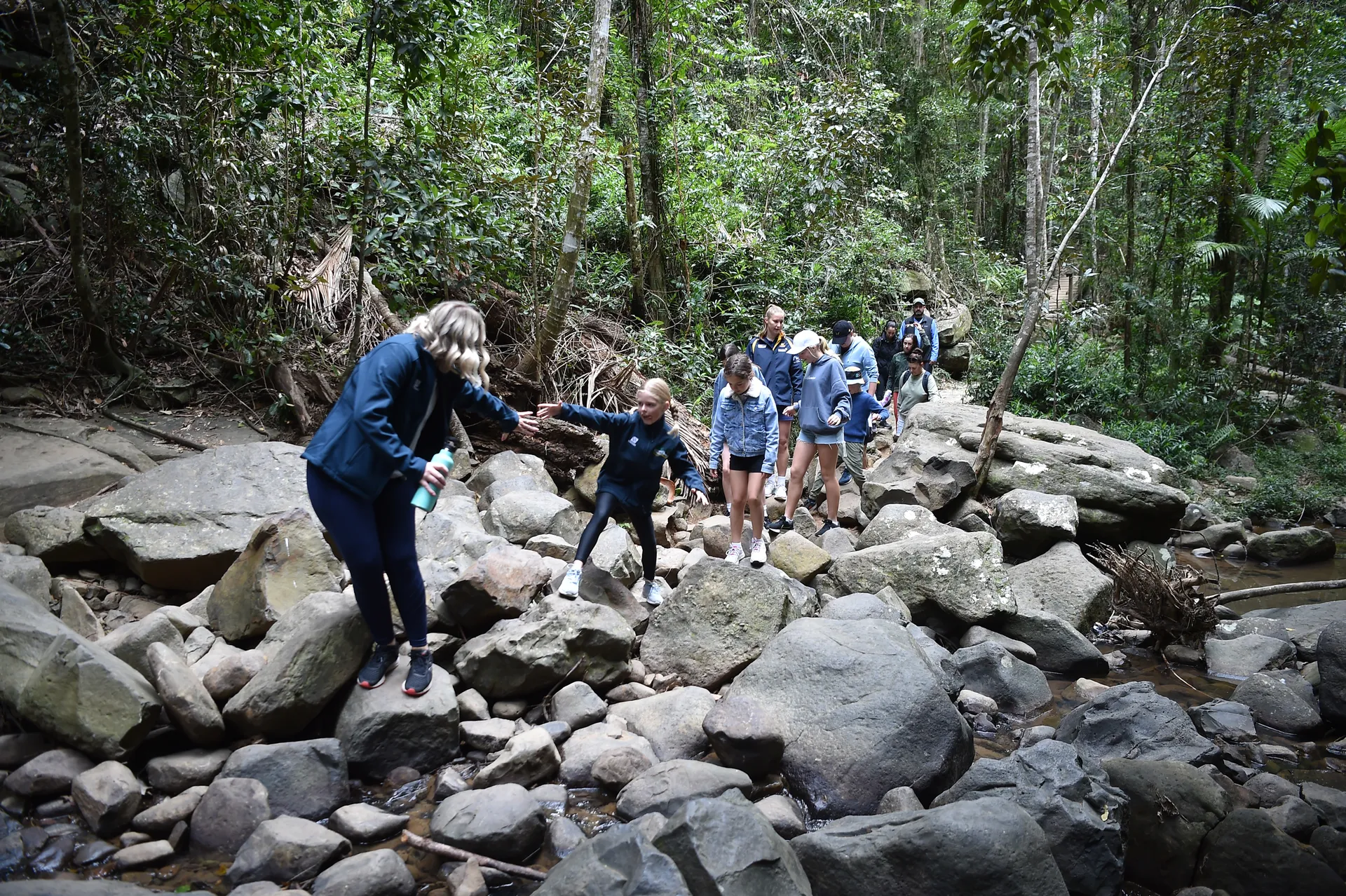 Buderim Forest Park - Falls Loop