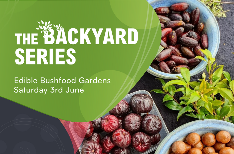 23044B_MRBBG_2023_backyard-series_Social-Media-tile_EdibleBushfood-e1686179028904.png