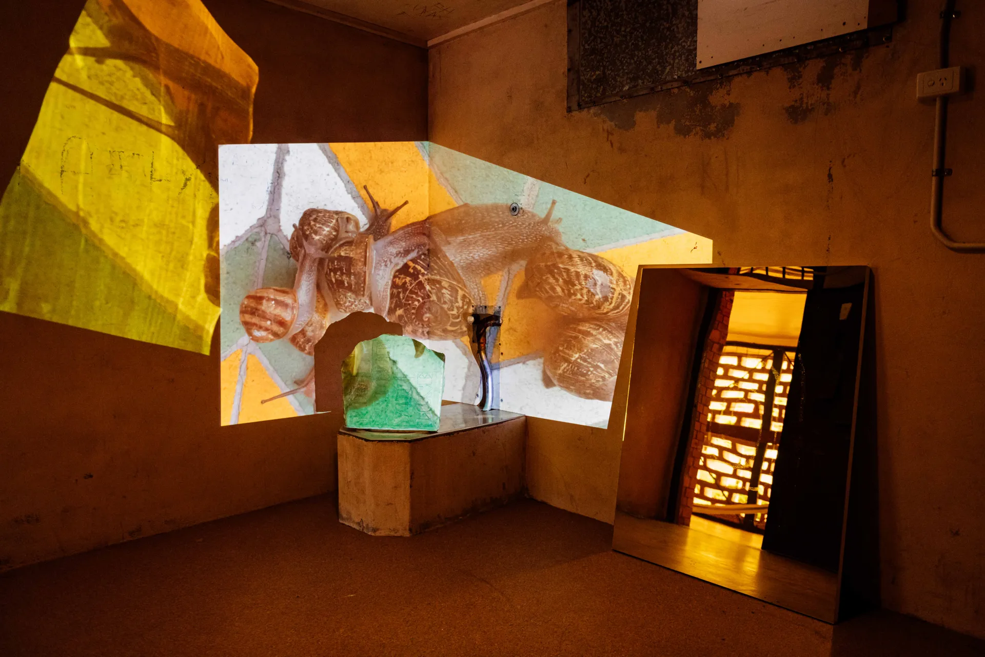 INARI_Politics of Snails - projections on the walls of the Old Lock Up, Maroochydore