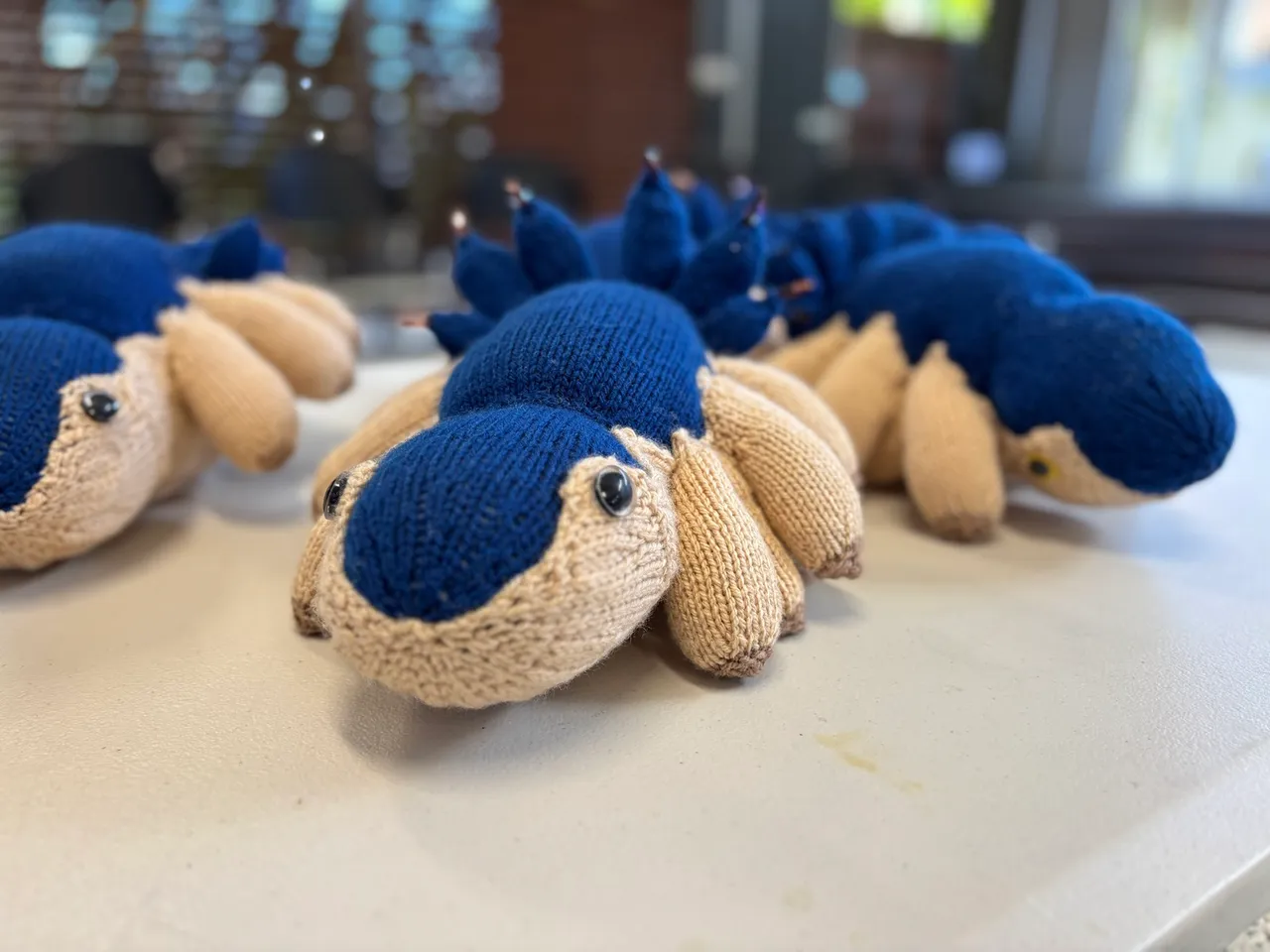 Skywhales%20Knitting%20Project%202.jpg