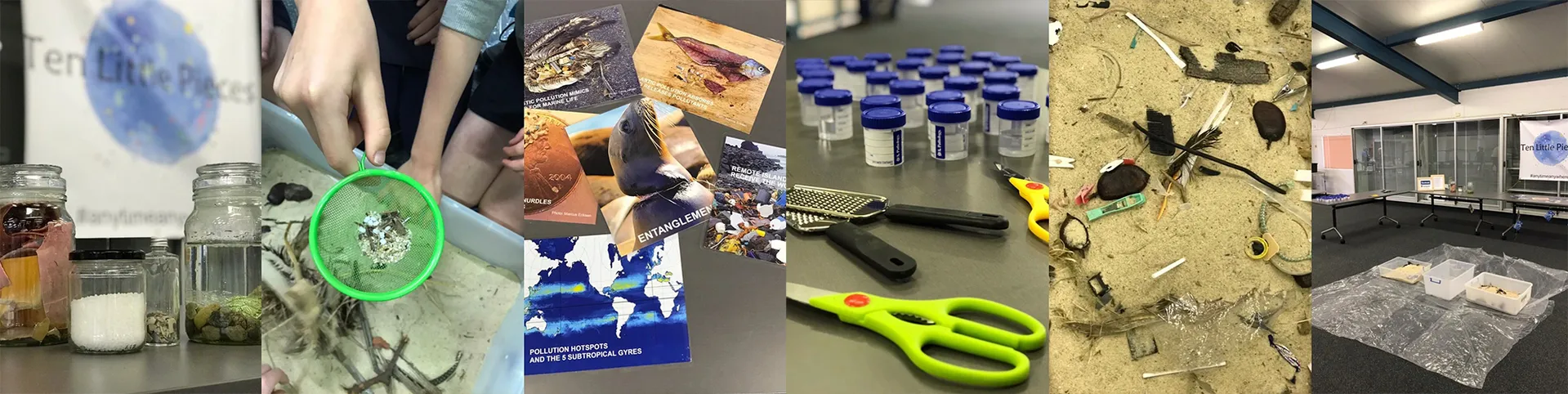 stem-image.jpg