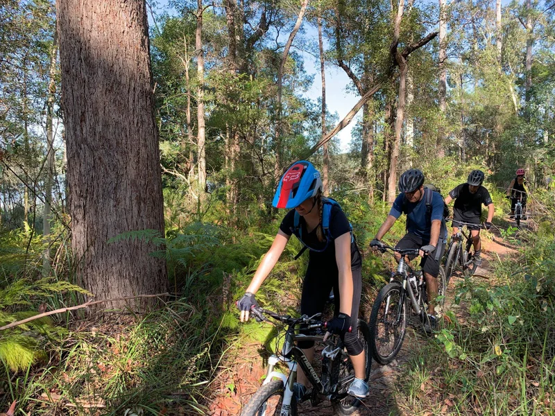 Ewen-Maddock-Dam-%E2%80%93-Ferny-Forest-MTB-Loop-2.jpg