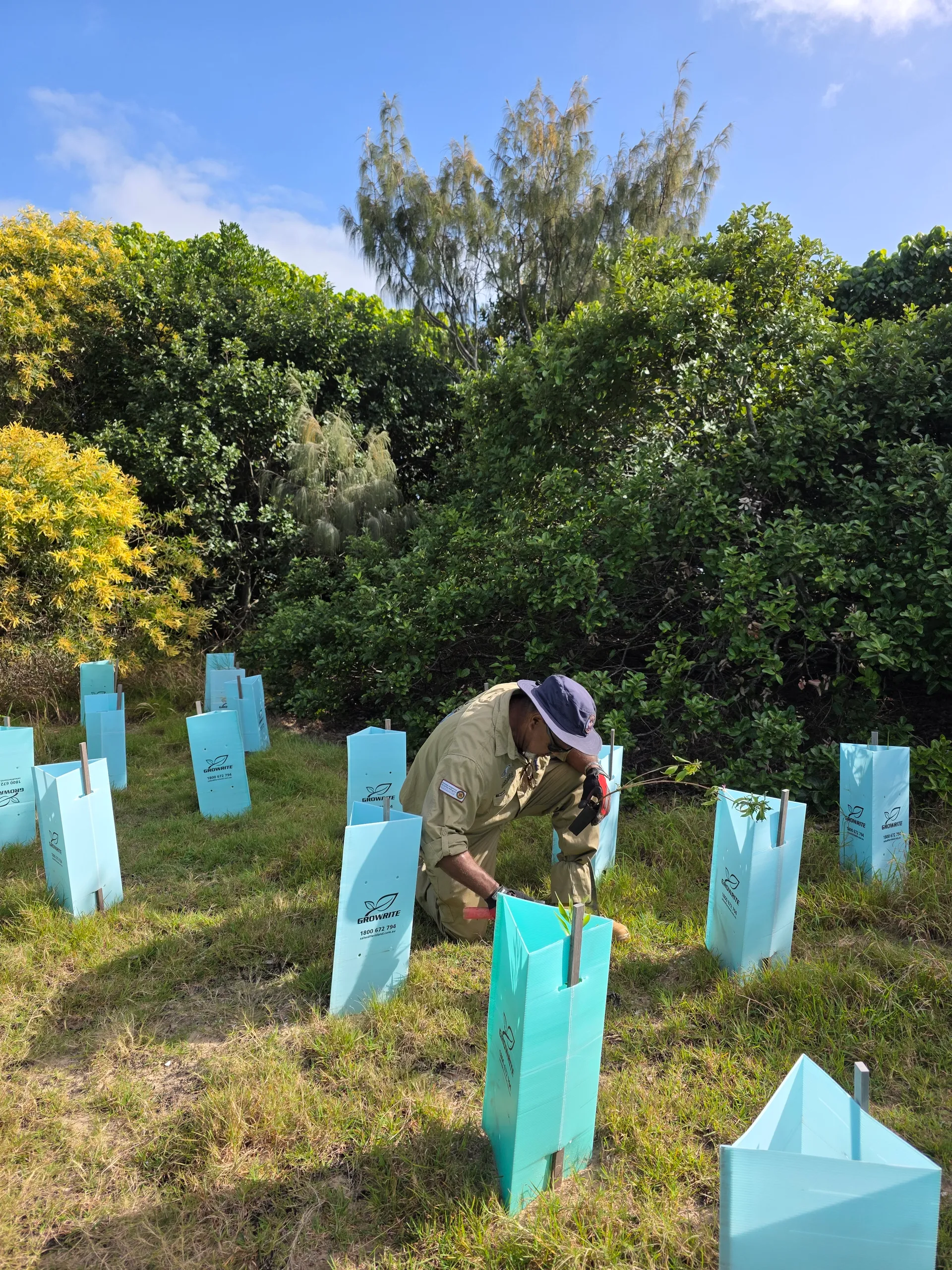 Bush Care Point Cartwright Group planting.