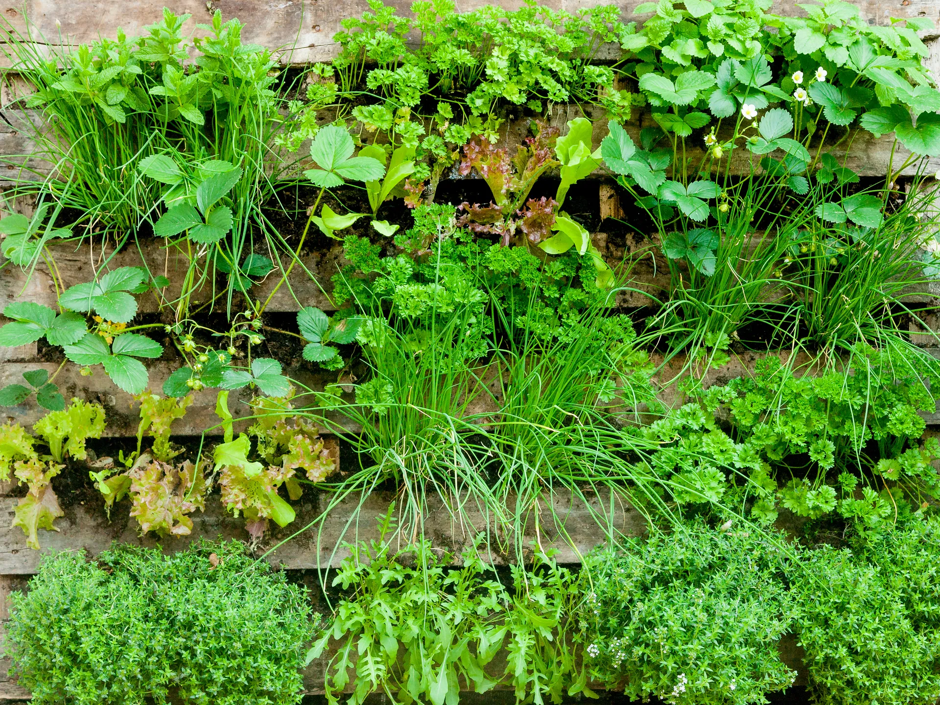 vertical pallet herb garden