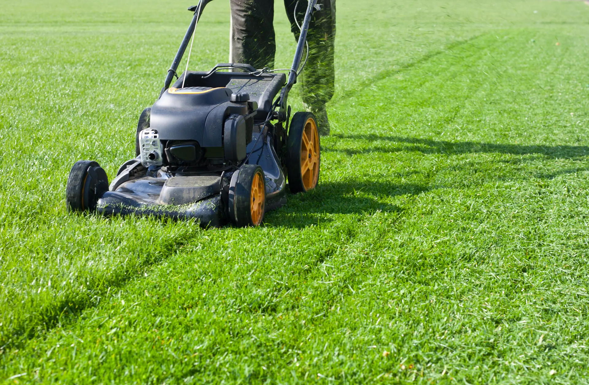 Lawn mowing