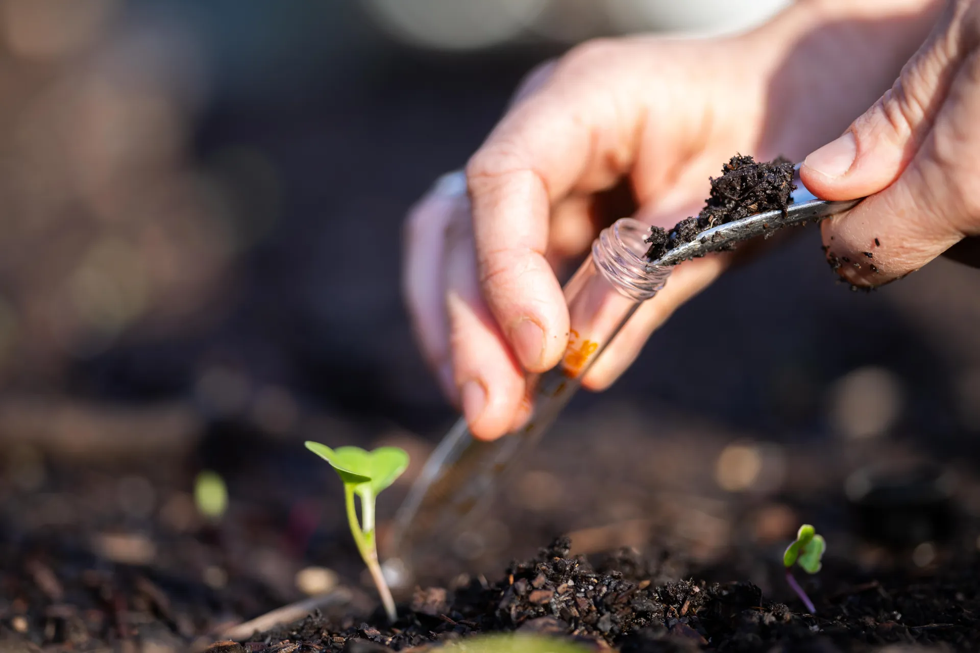 testing soil PH