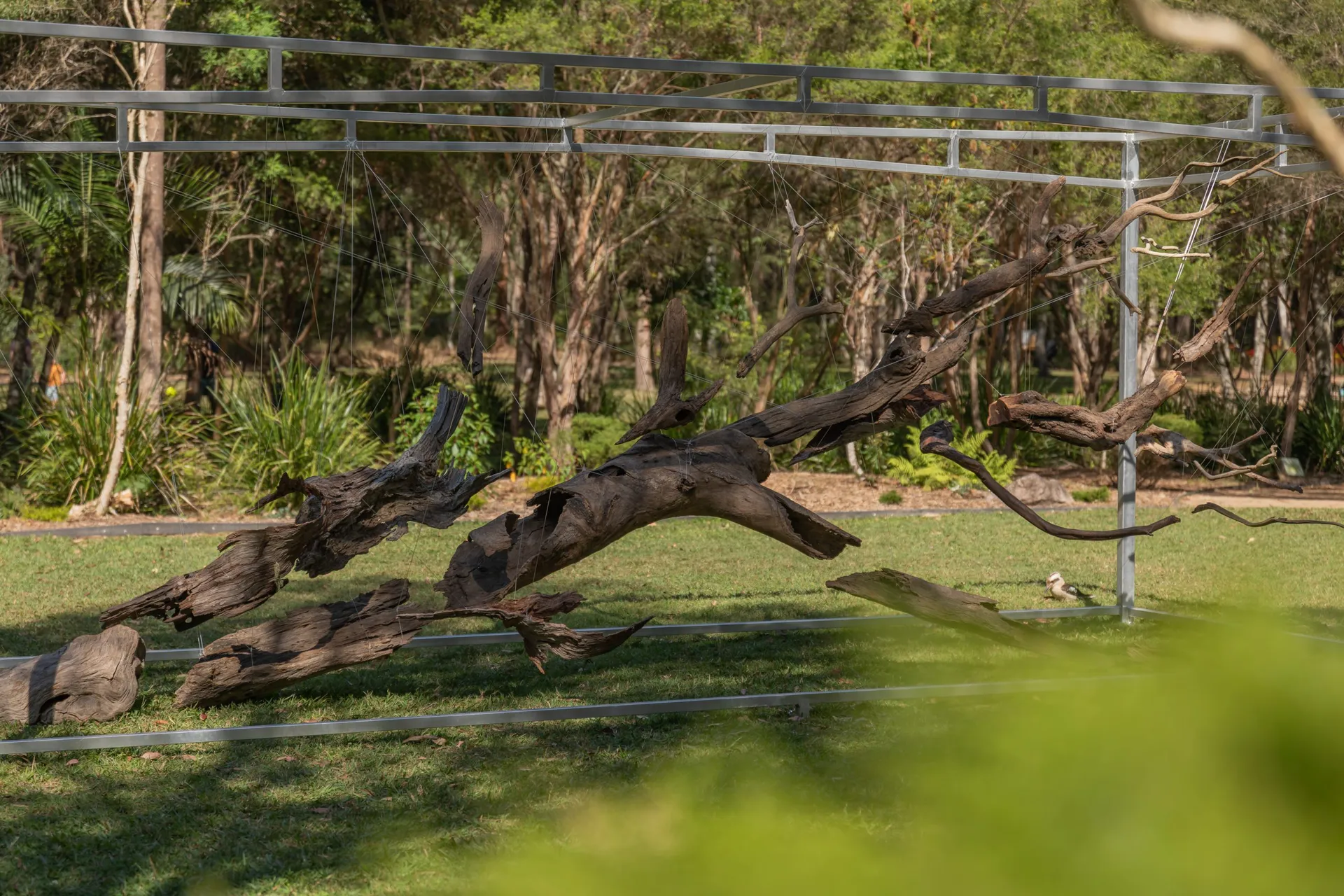 Final Call creative work by Itamar Freed + Courtney Scheu.