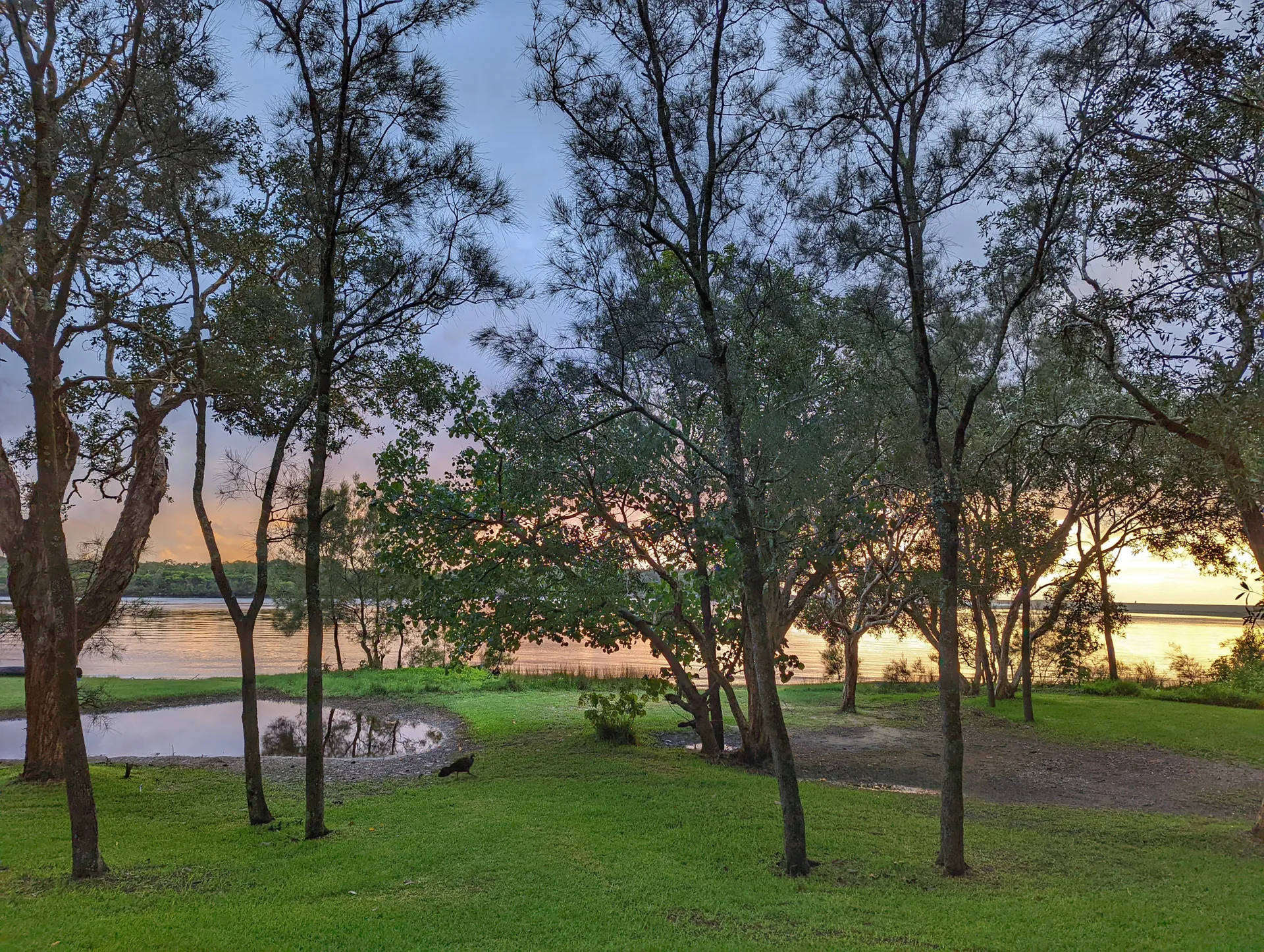 Currimundi Lake – ‘Loop the Lake’ walk