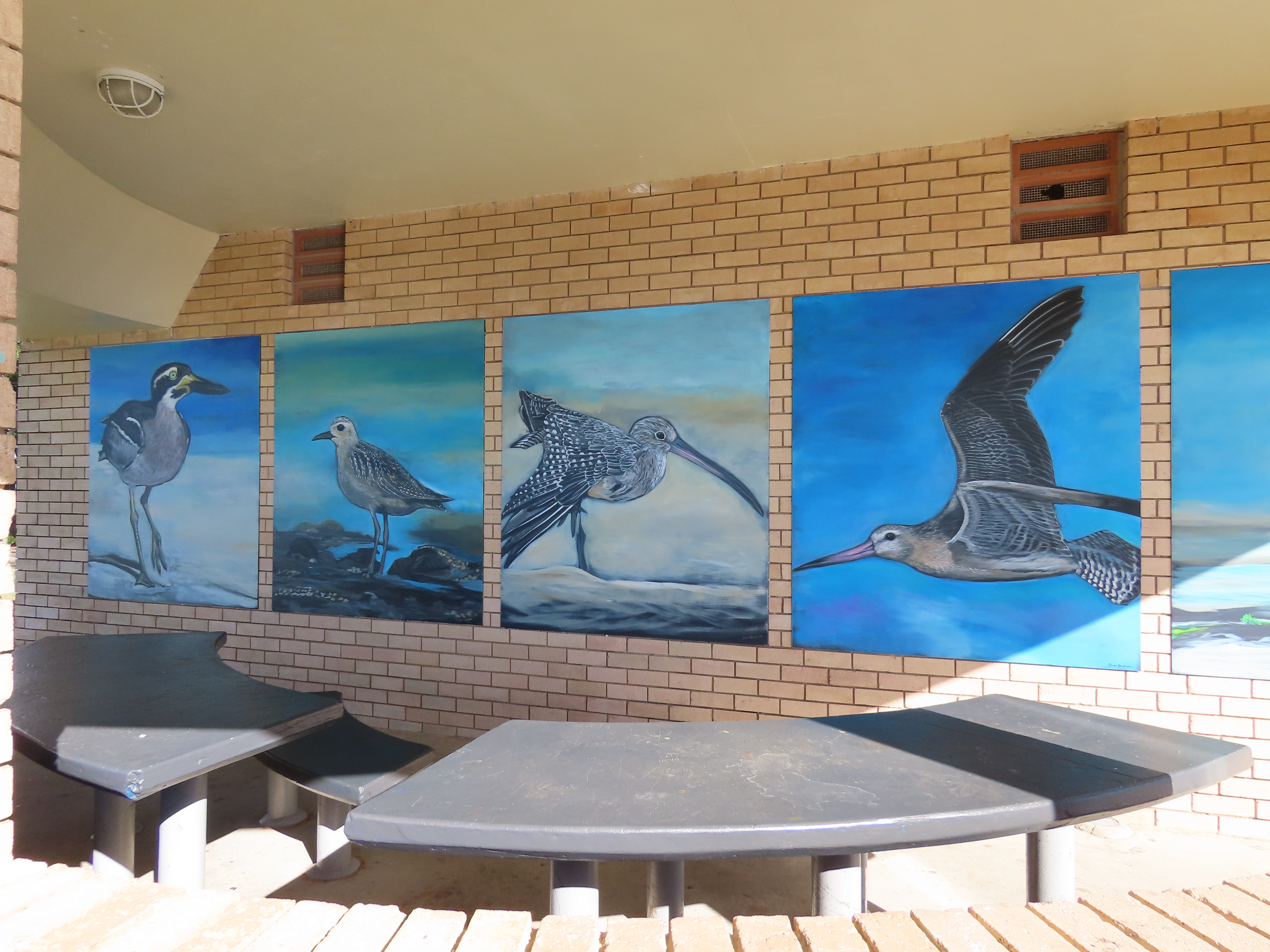 Shorebird mural