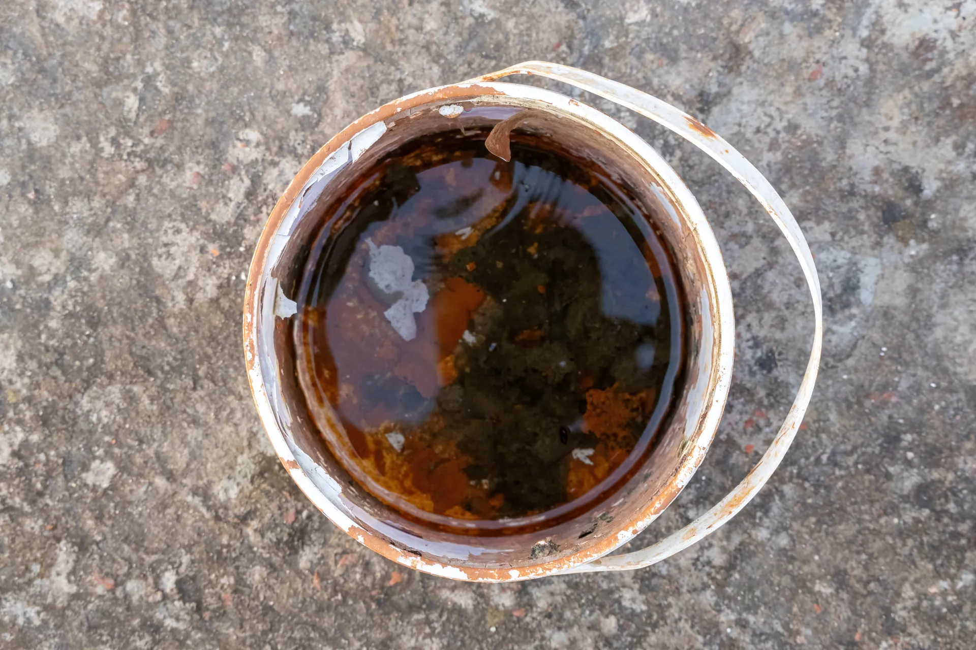A bucket of stagnant water, which is a breeding ground for mosquitos