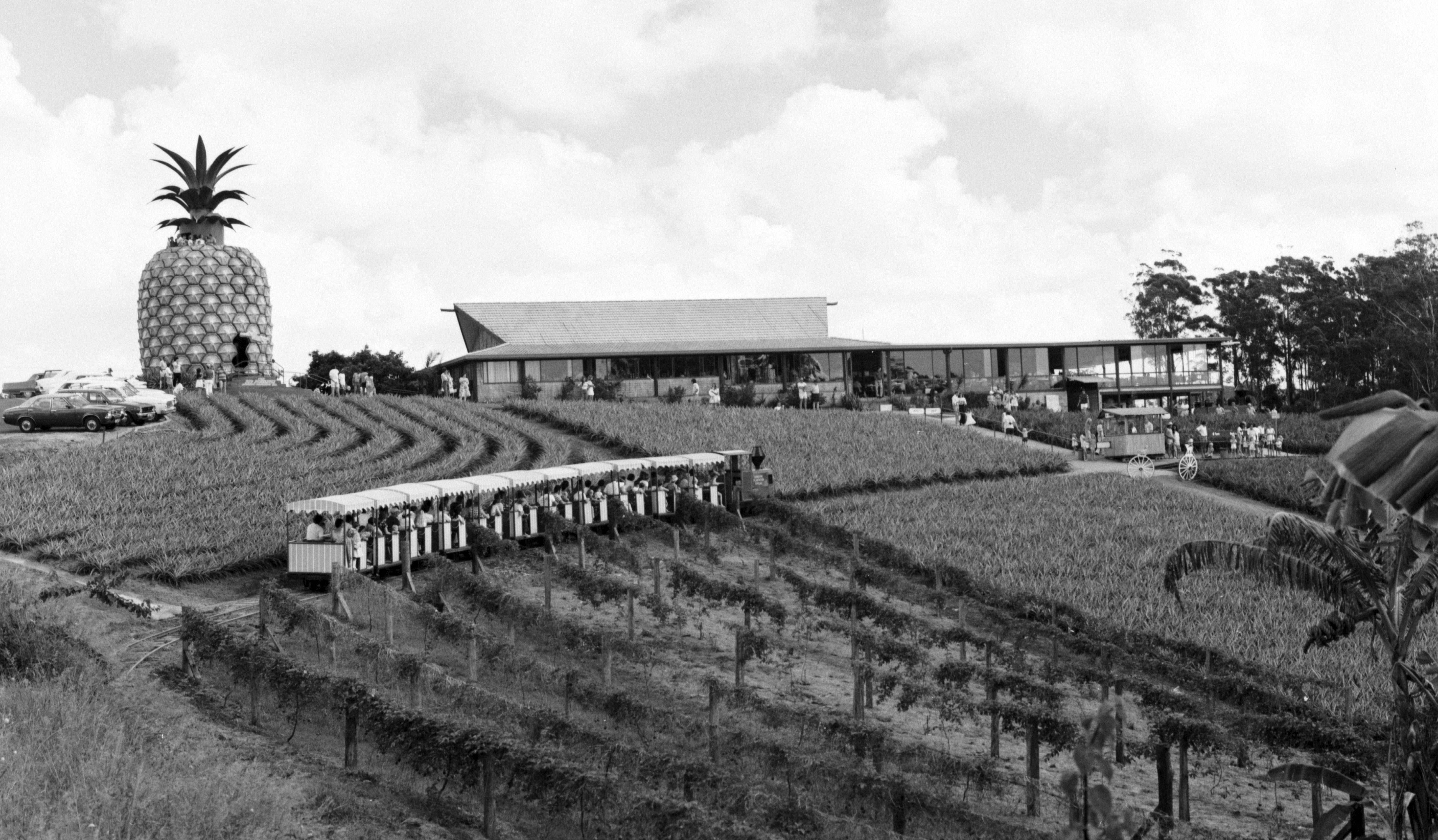 Sunshine%20Plantation%20passenger%20train%2C%20Big%20Pineapple%20and%20Visitor%20Centre%2C%20Woombye%2C%20April%201976.jpg
