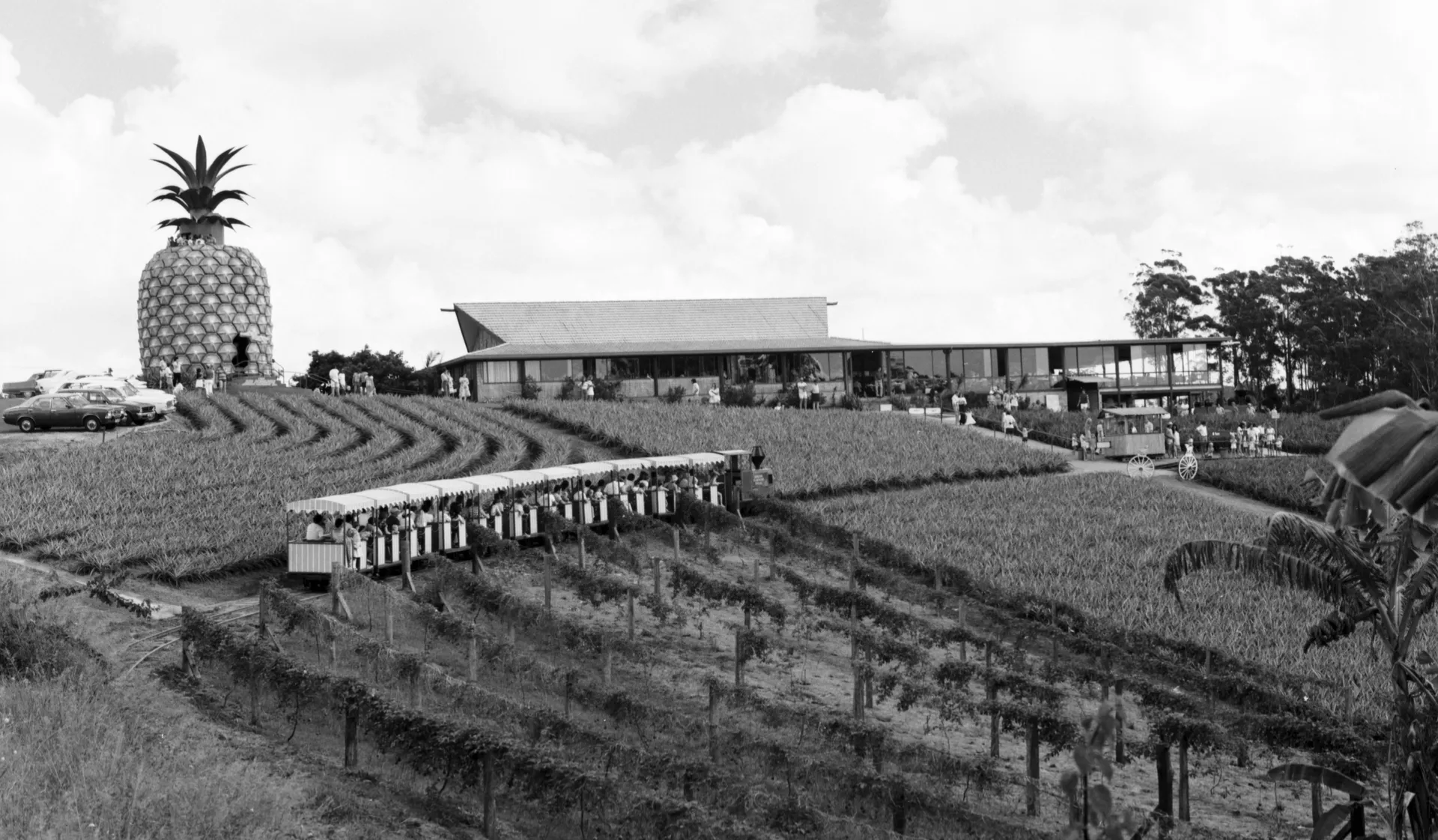 Sunshine%20Plantation%20passenger%20train%2C%20Big%20Pineapple%20and%20Visitor%20Centre%2C%20Woombye%2C%20April%201976.jpg
