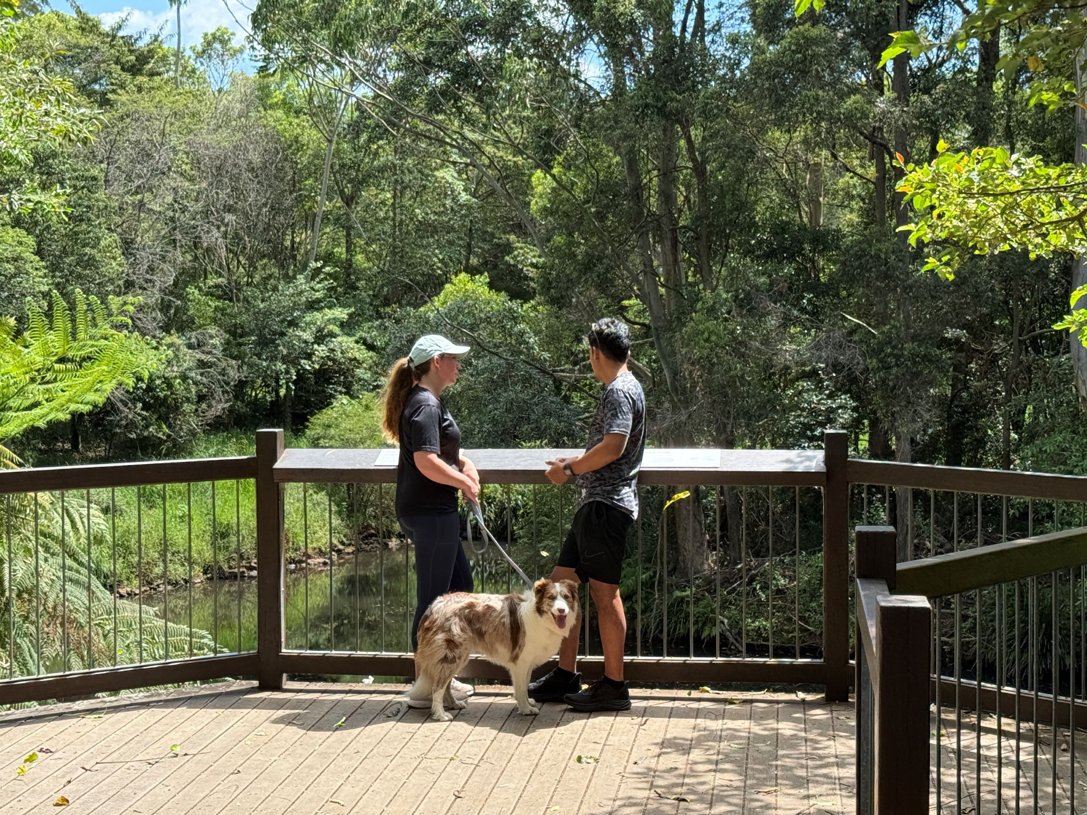 Enviroment reserve viewing platform with dog on leash
