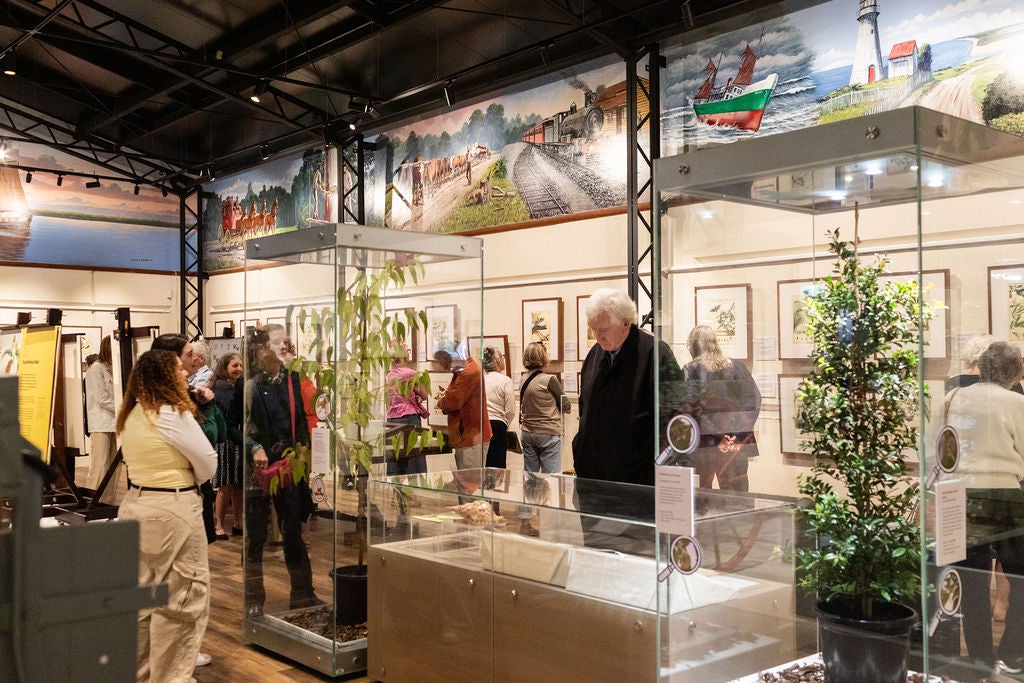 crowd enjoying the Scott Sisters exhibition