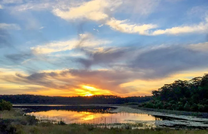 Cooloolabin Dam – Day-use short walk