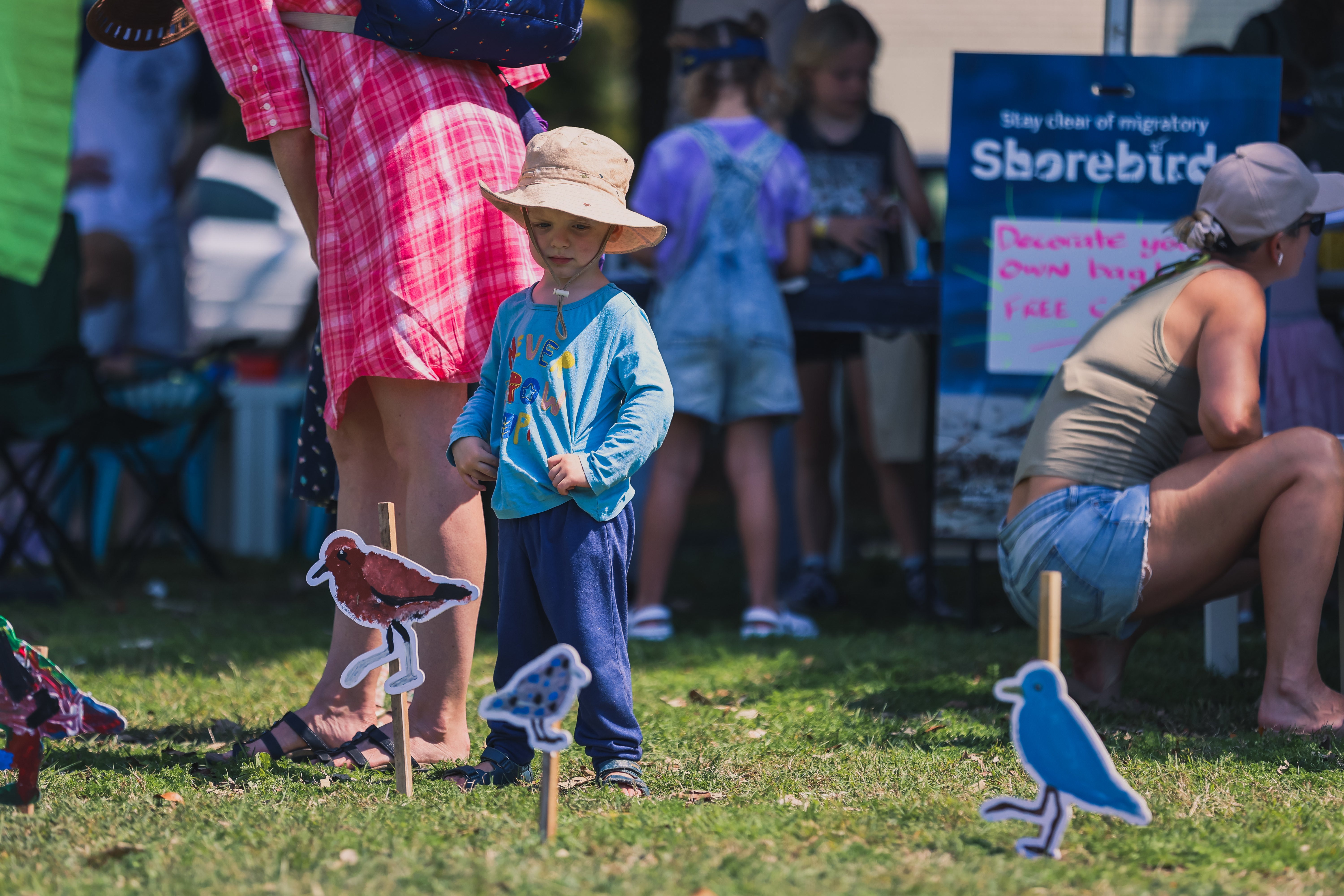shorebird festival activities
