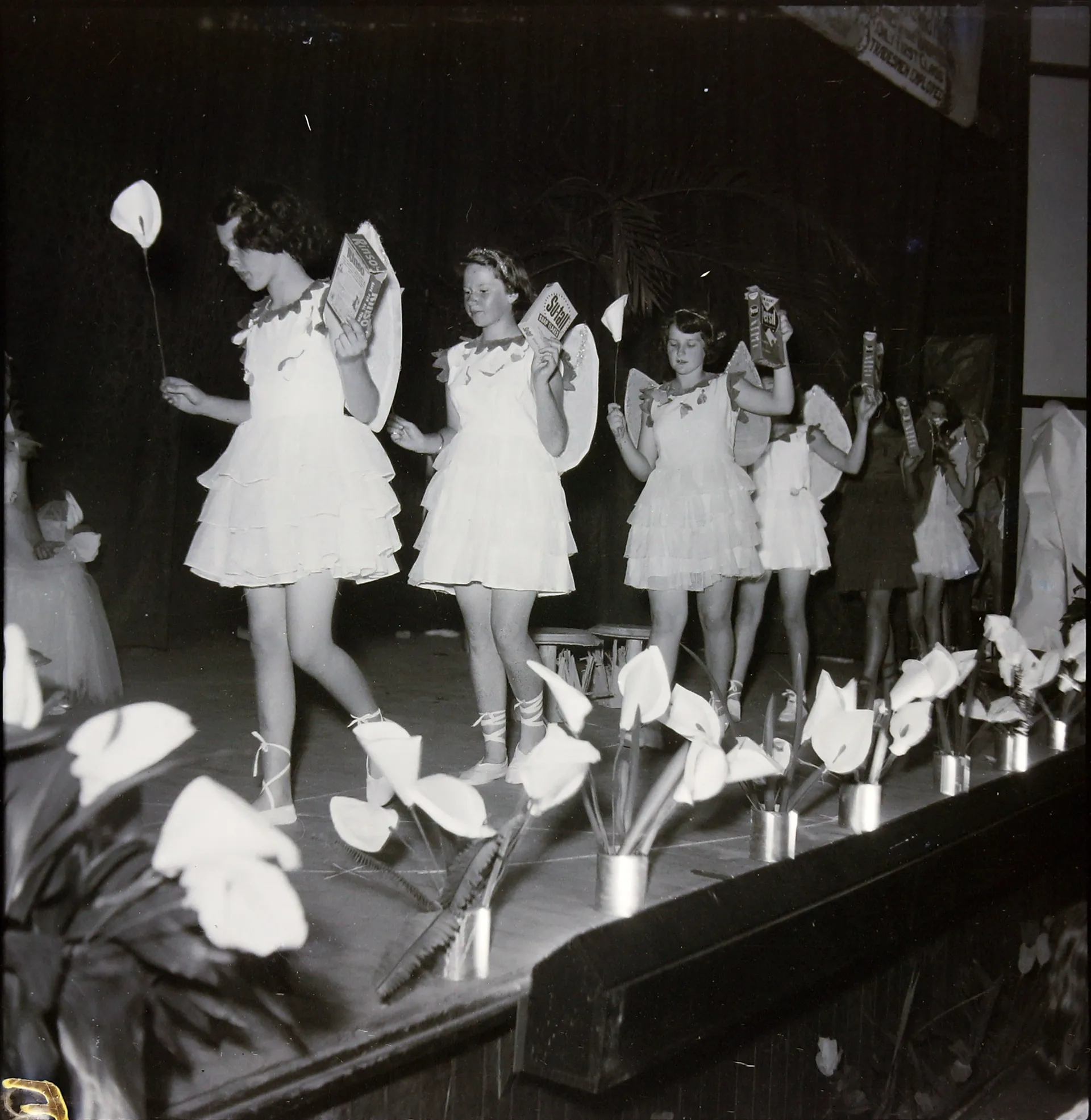 Children's concert 1951