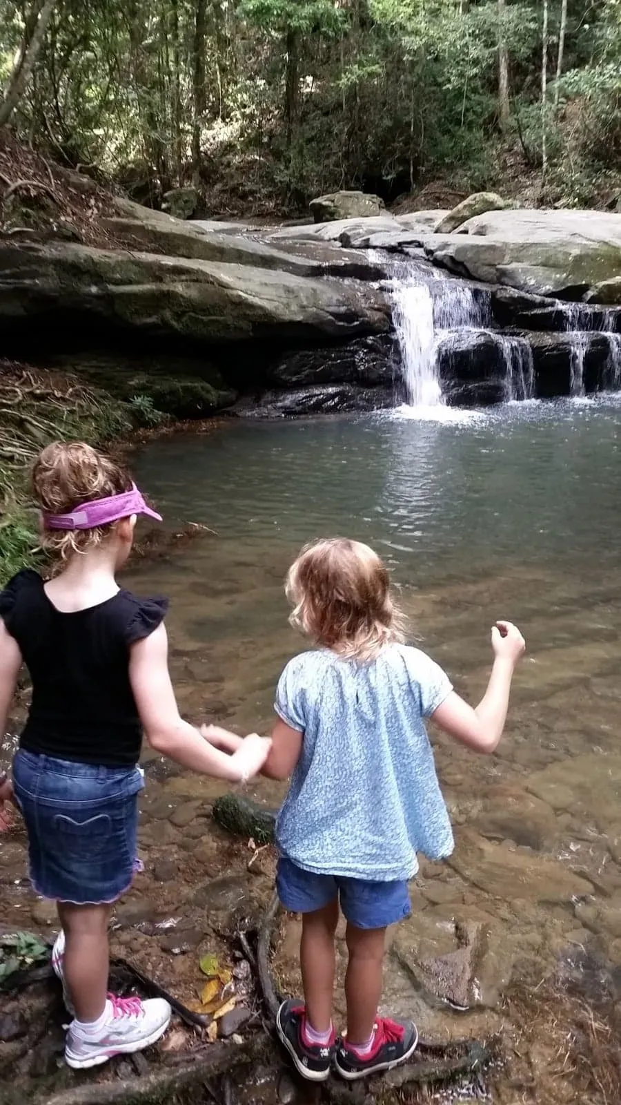 Buderim Forest Park - Falls Loop