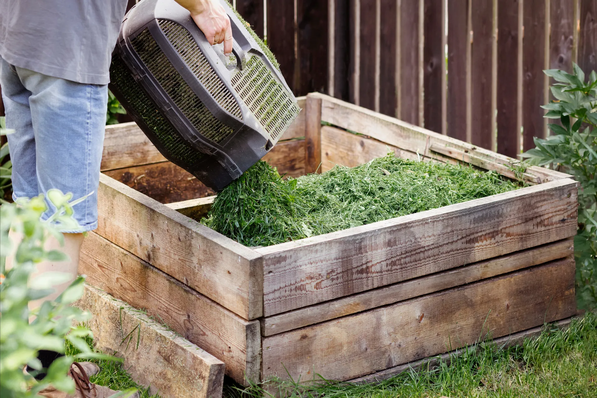 Adult tipping green grass clippings into the compost bin