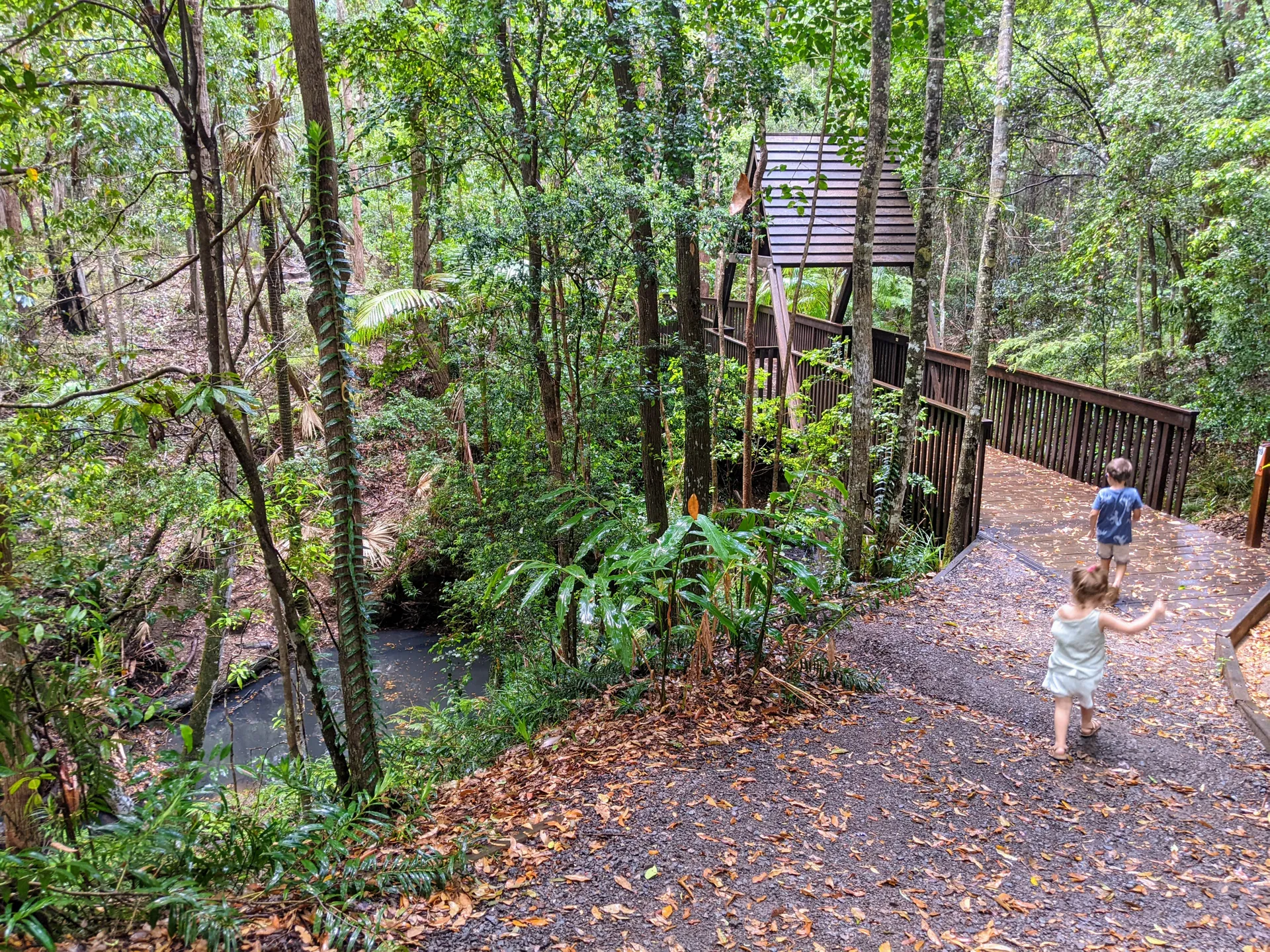 Maroochy Bushland Botanic Garden, Lagoon Walk