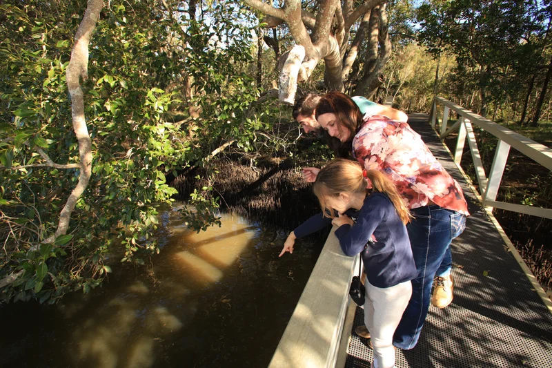 Maroochy%20Wetlands%20Sanctuary%20%288%29.JPG