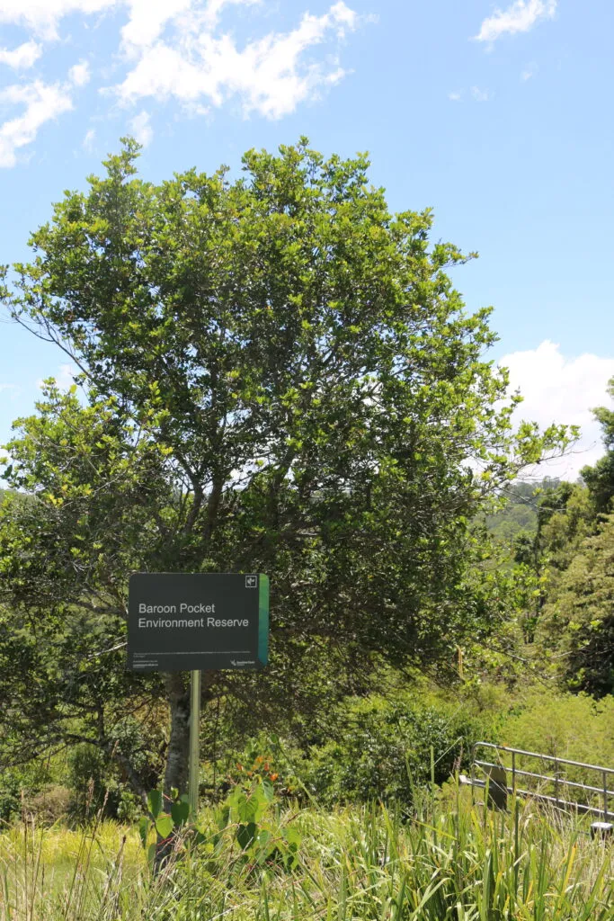 Baroon Pocket Environmental Reserve.