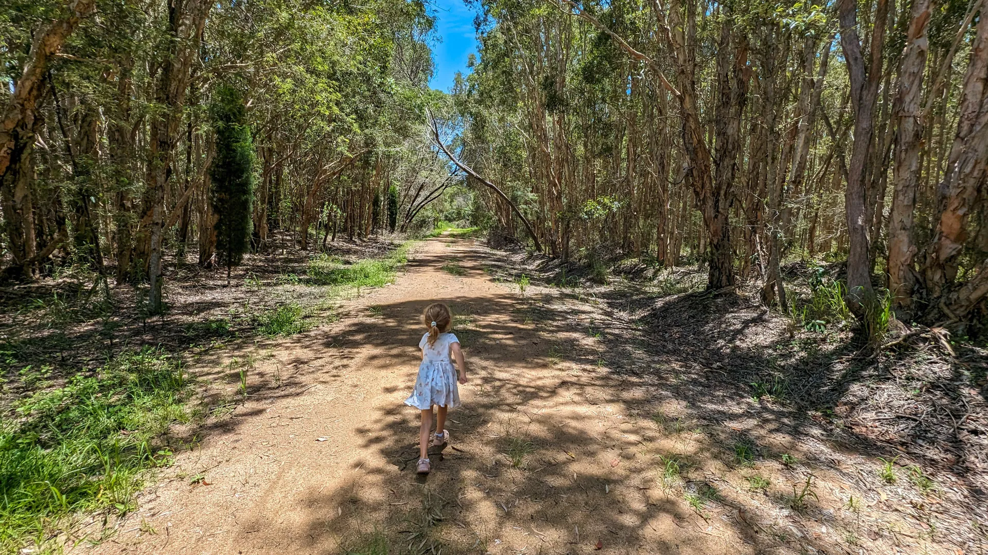 Lamerough Creekside Walk, Pelican Waters
