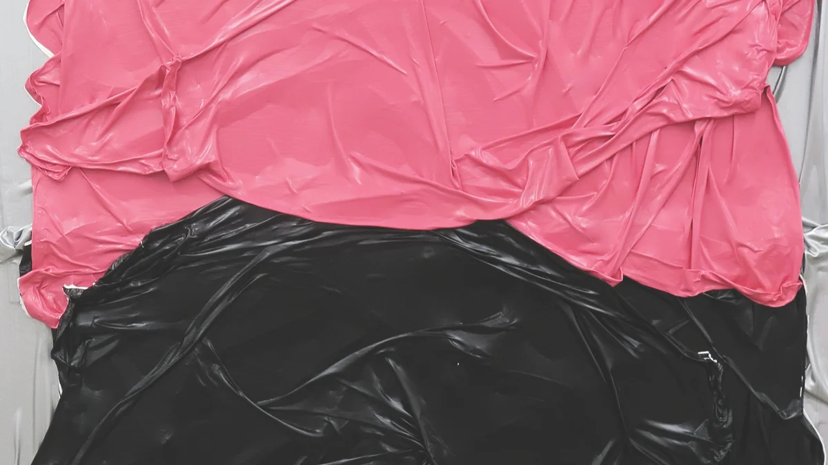 Sunshine Coast National Art Prize 2025 exhibition