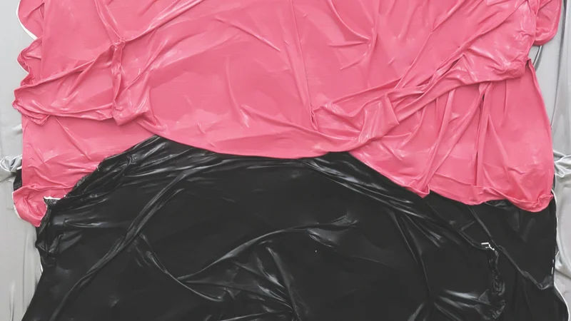 Sunshine Coast National Art Prize 2025 exhibition