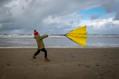 child with umbrella inside out