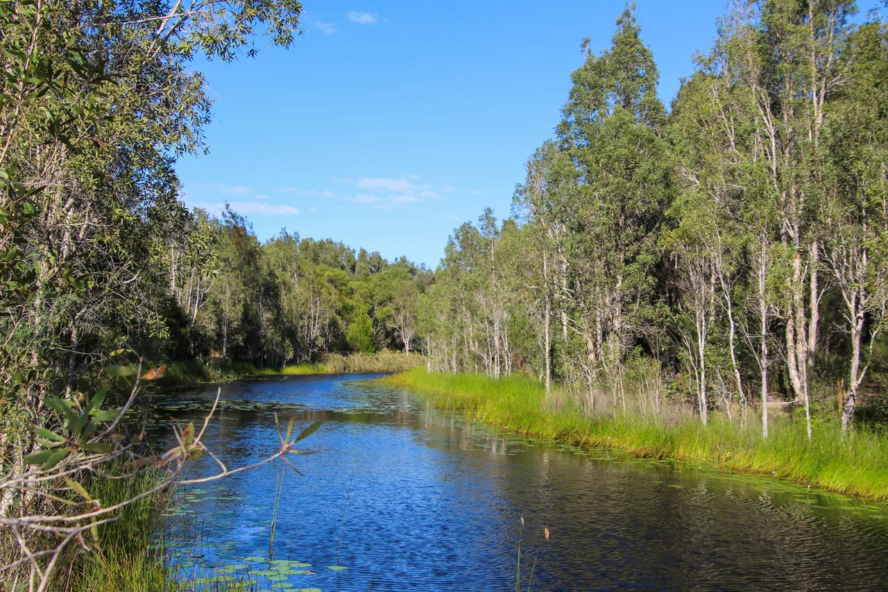 Lamerough Creek Walk, Pelican Waters