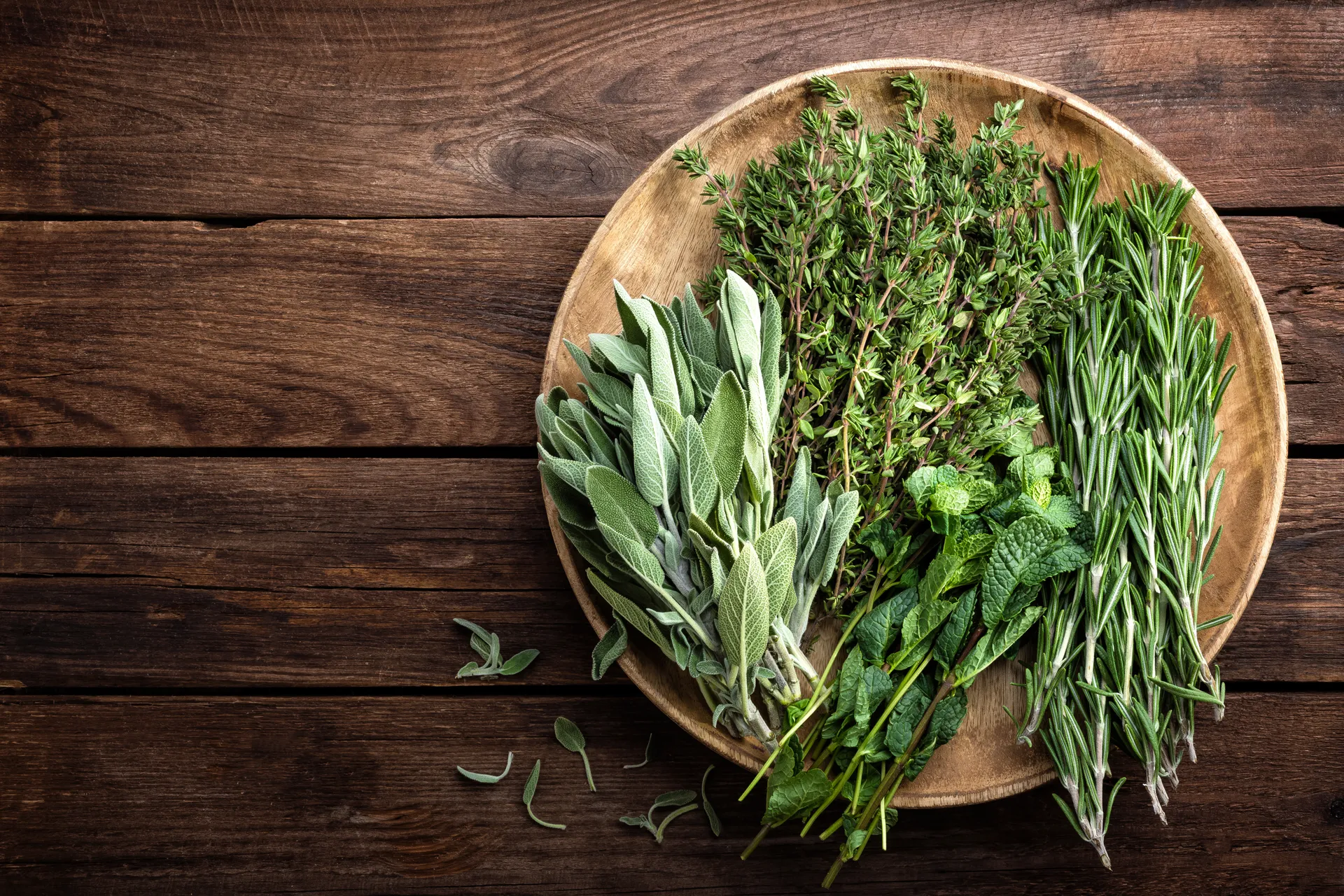 Collection of herbs on a board