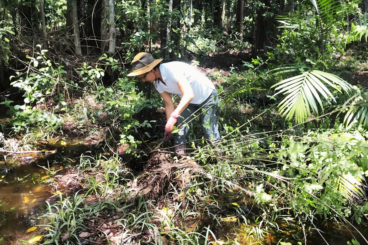 Megan working on the property