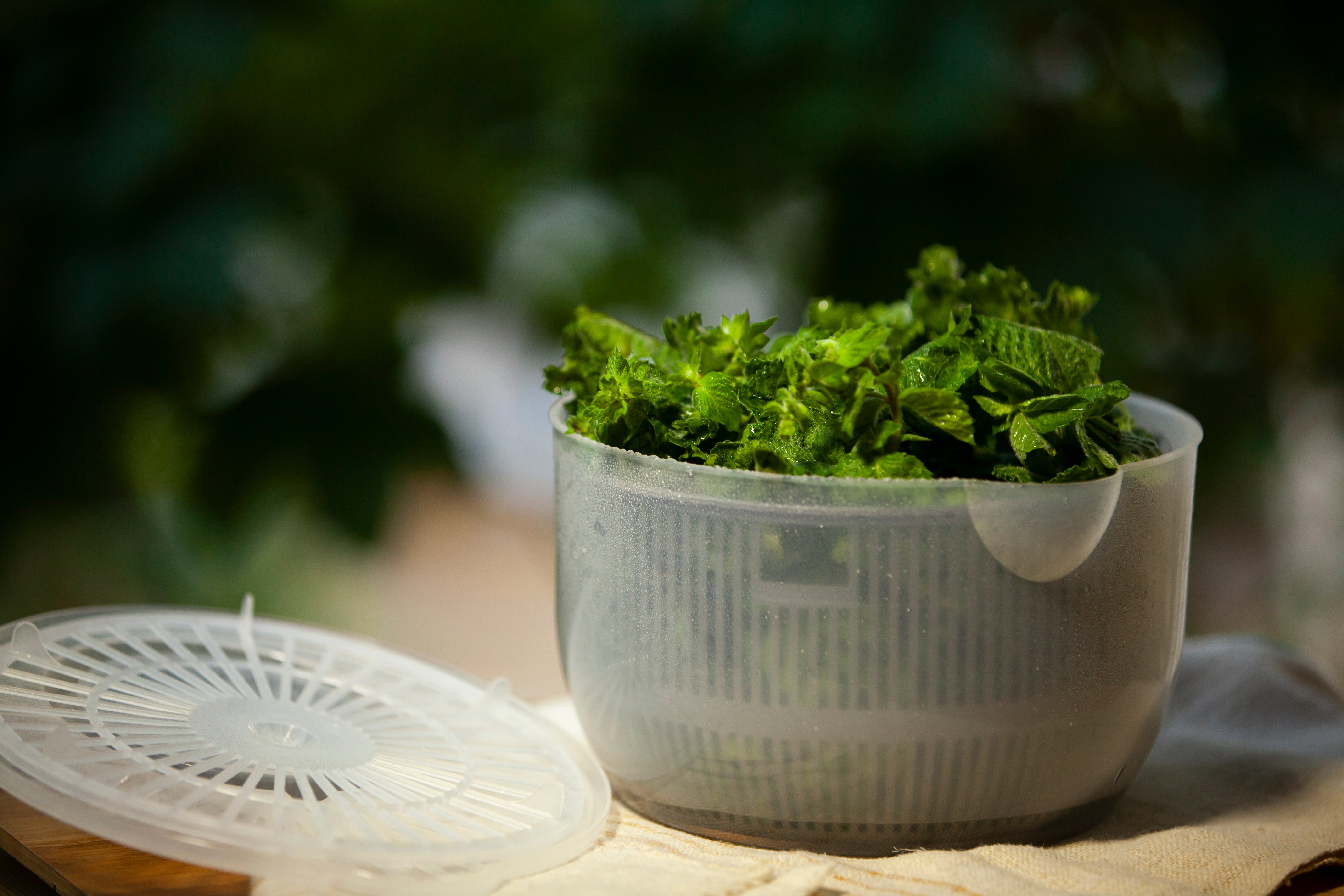 salad greens in a spinner
