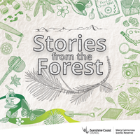 Listen to the Stories 