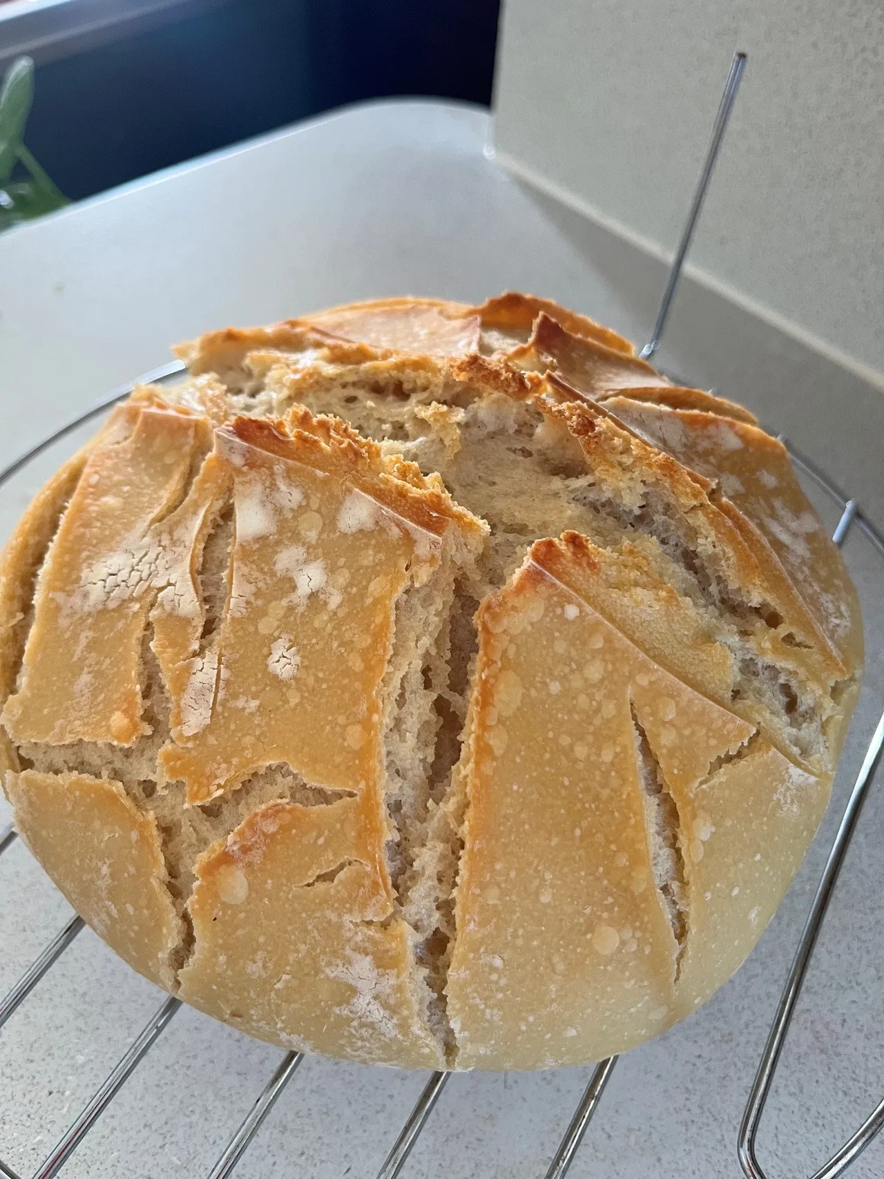 final golden brown loaf
