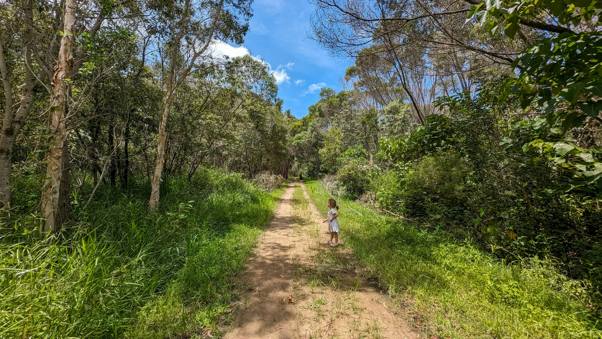 Lamerough Creekside Walk, Pelican Waters
