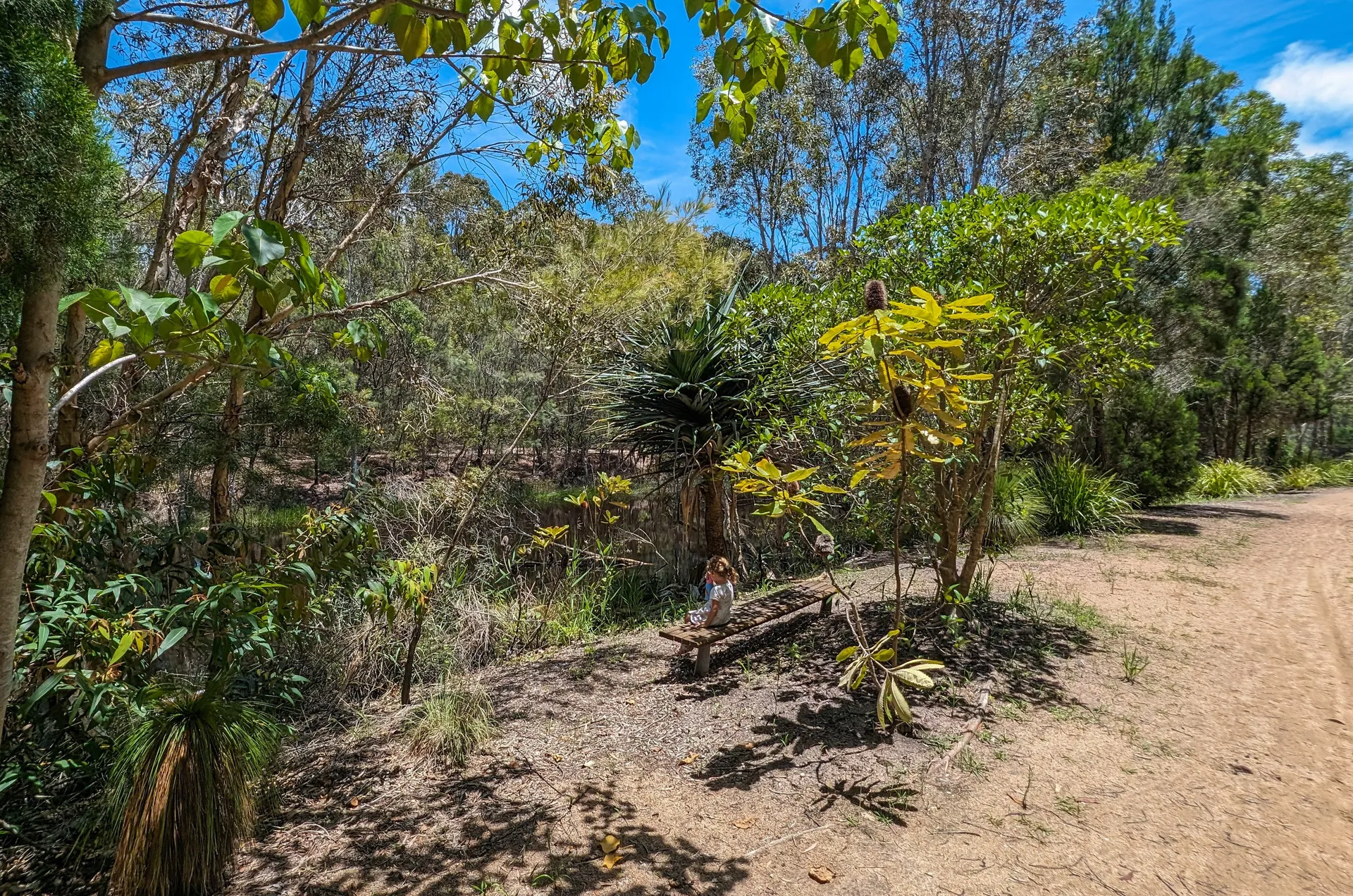Lamerough Creekside Walk, Pelican Waters